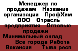 Менеджер по продажам › Название организации ­ ПрофХим, ООО › Отрасль предприятия ­ Оптовые продажи › Минимальный оклад ­ 25 000 - Все города Работа » Вакансии   . Тыва респ.,Ак-Довурак г.